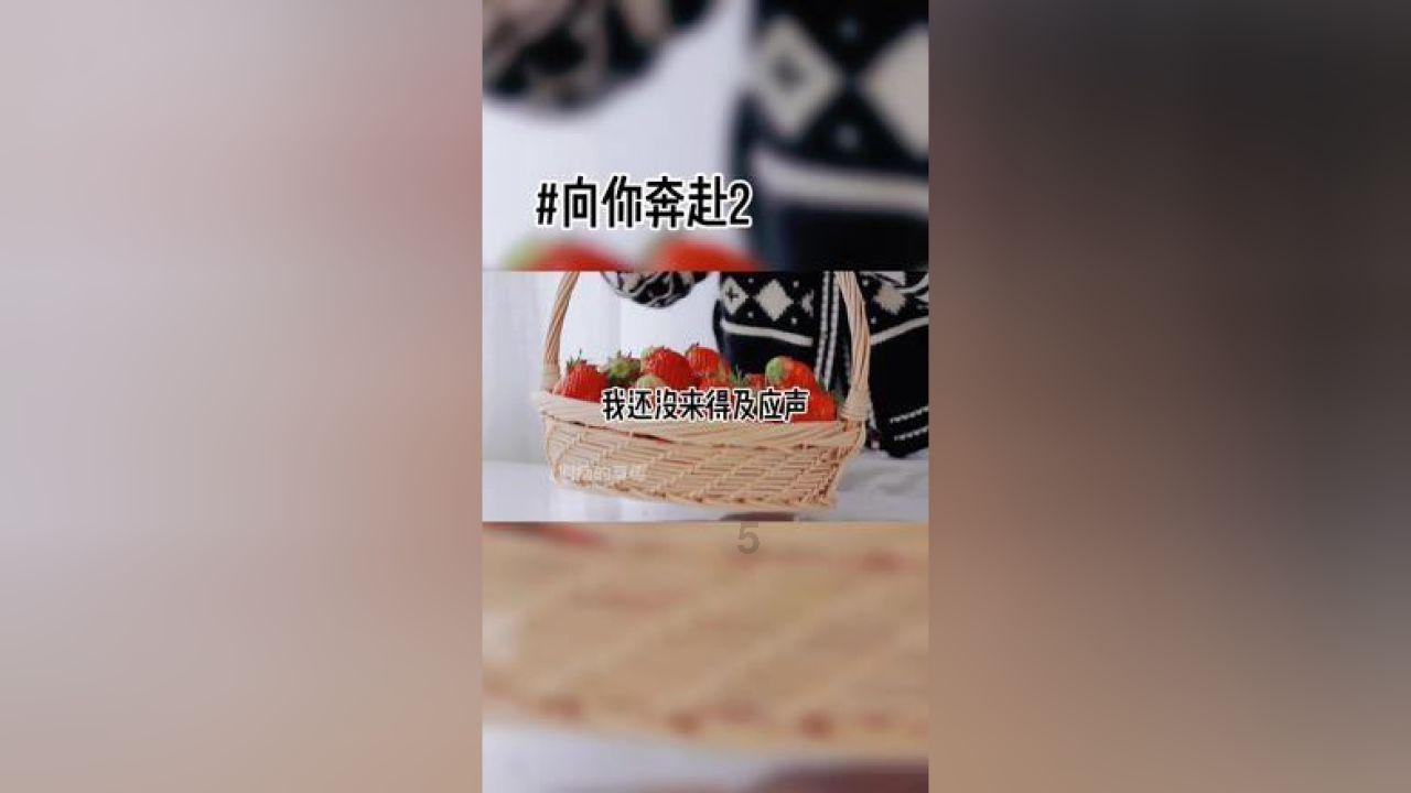 这款是阿迪达斯哪款拖鞋？游戏画面
