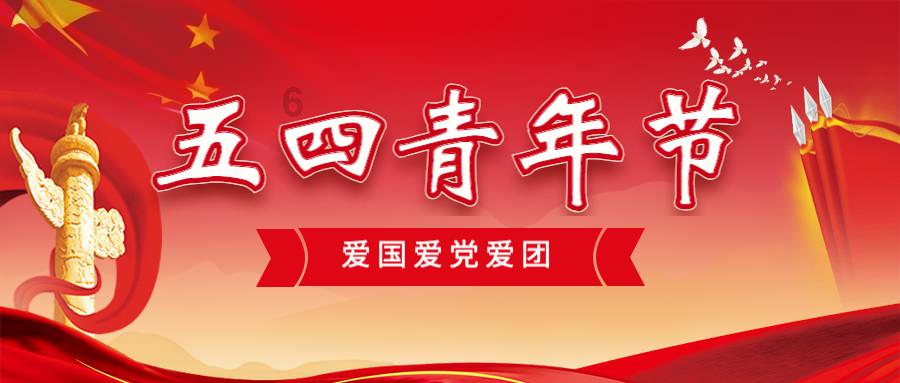 可爱的小考拉