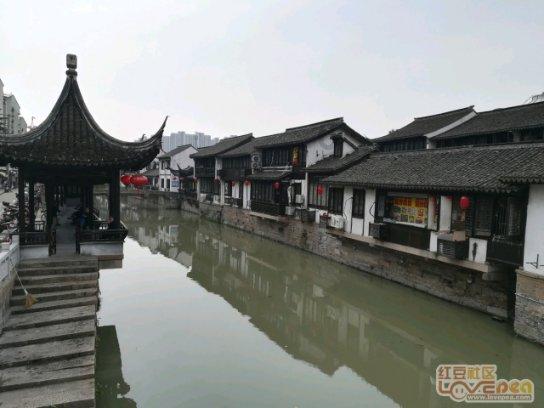 美妙森林找不同